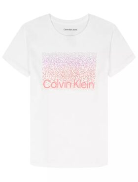 Jenter Ombre Logo Graphic Classic T-skjorte